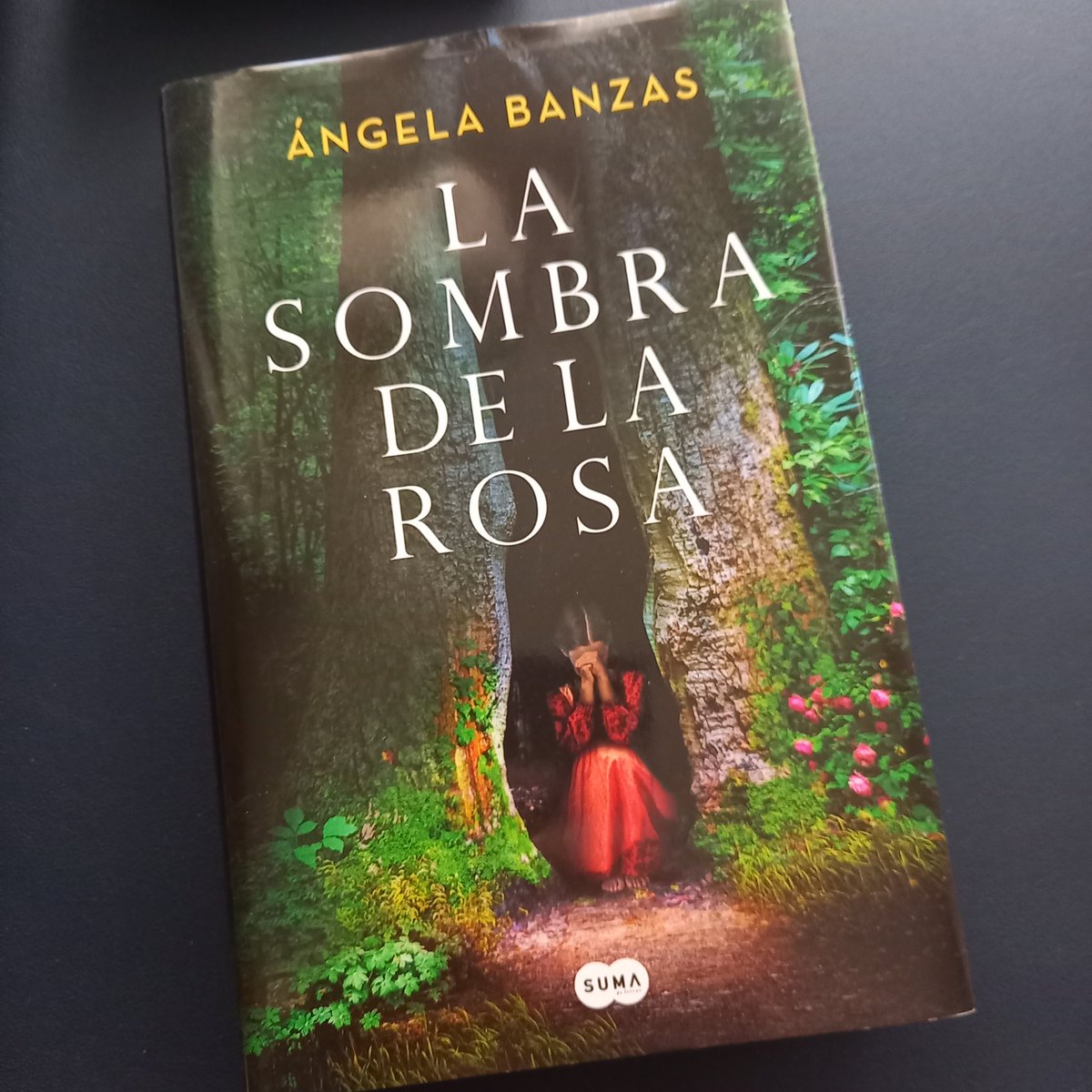 Me he leído "La sombra de la rosa" de Ángela Banzas. 
He echado de menos que la protagonista tómase más decisiones propias. Parecía que la pobre era arrastrada continuamente por las circunstancias.
#libro
