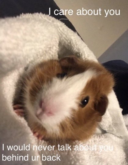 paige (@vampsneverhurtu) on Twitter photo 