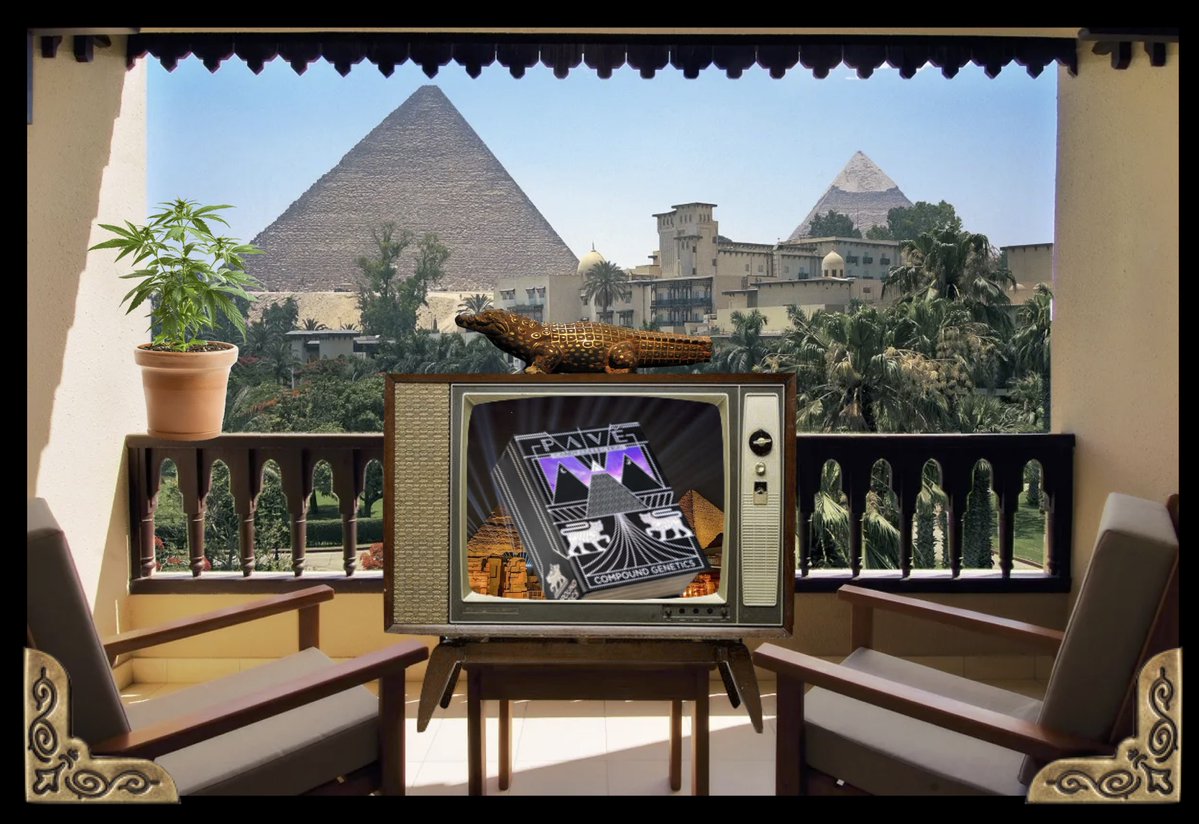 Pearl Polanski 🌻🇺🇦🇺🇸 tweet media