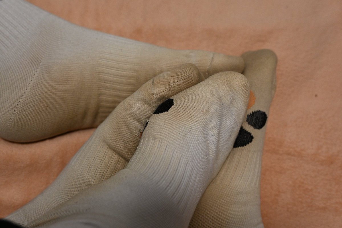 秋米⭐→绒爪兽聚 tweet media