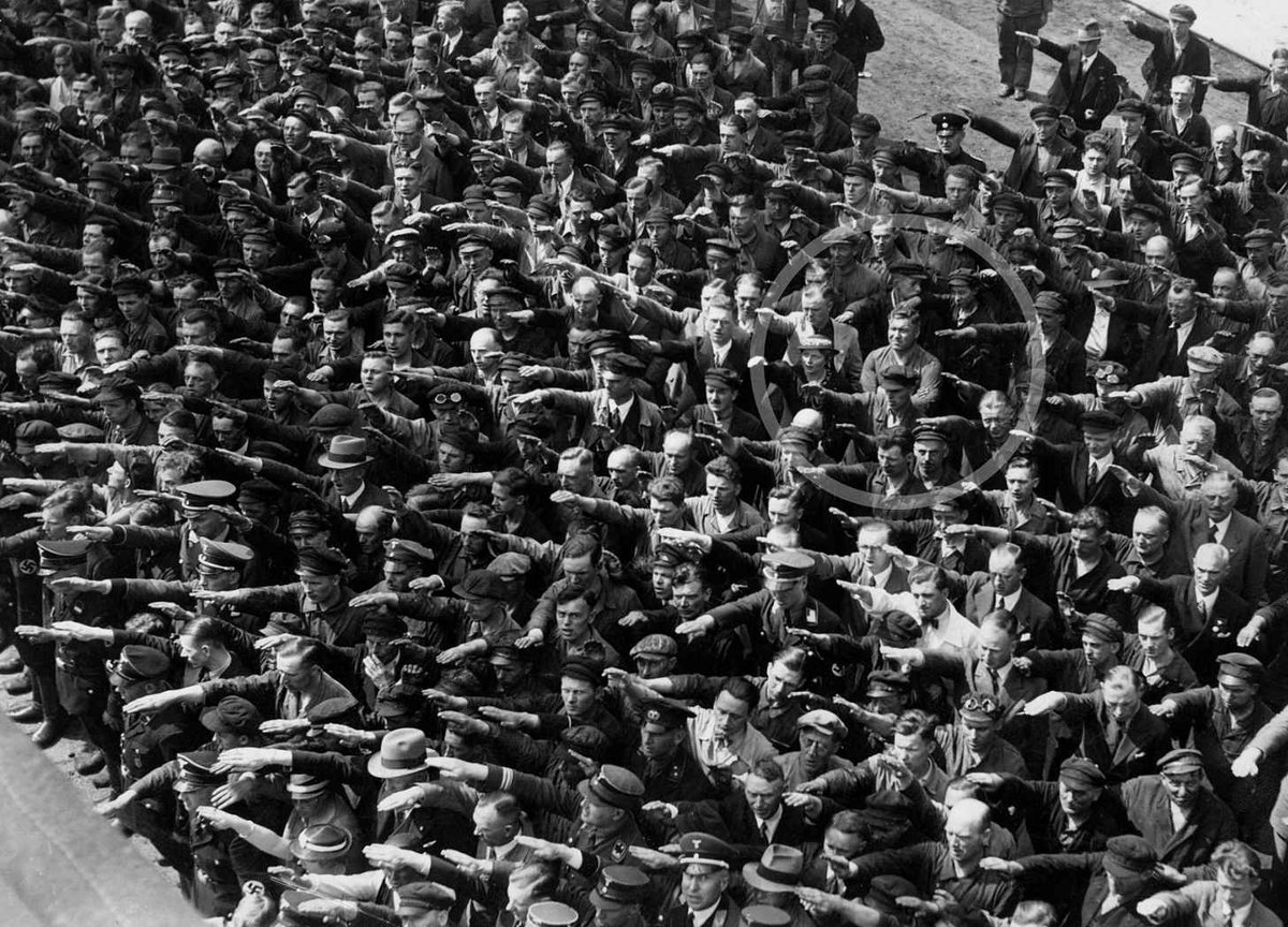 David Webb tweet media