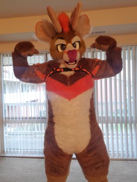 Aloy_Deer 🦌 tweet media