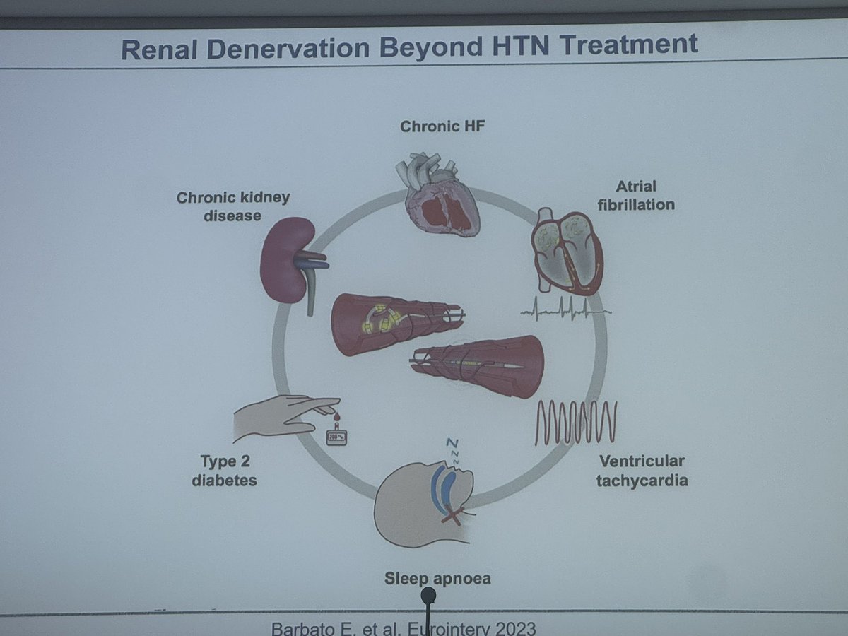 Belén Cid Alvarez tweet media