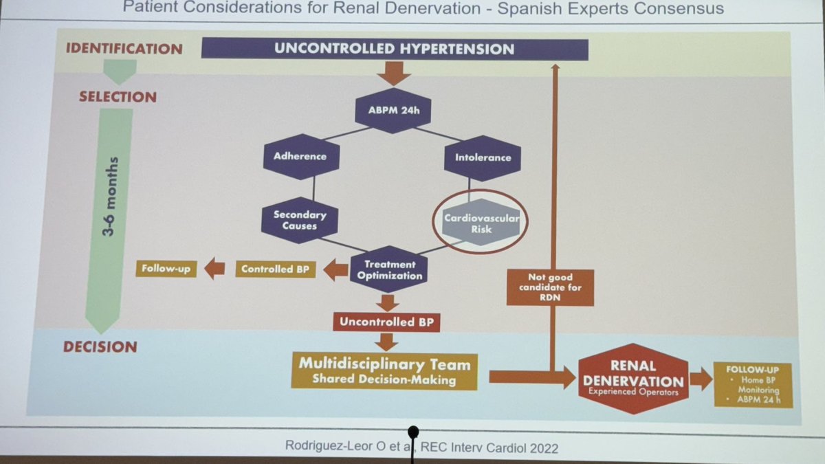 Belén Cid Alvarez tweet media