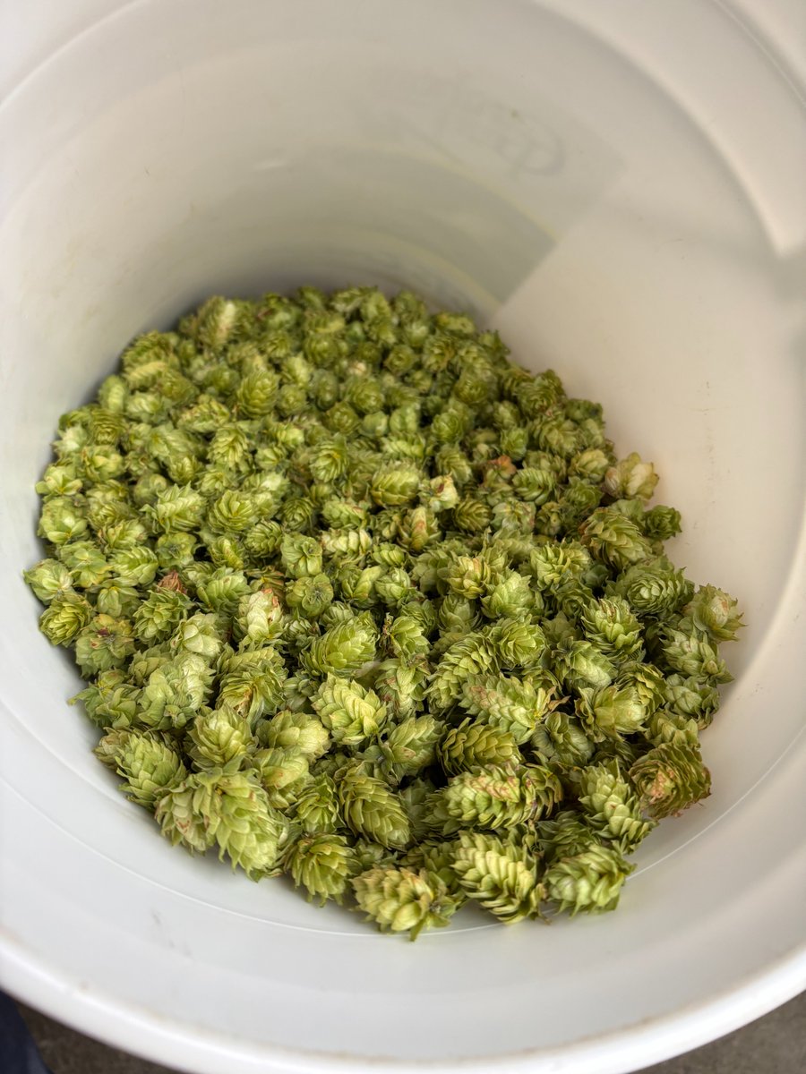 Rideau View Golf tweet media