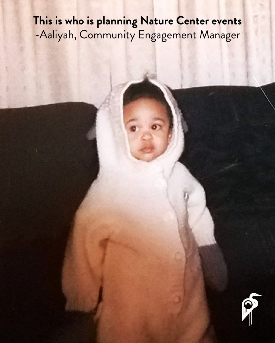 ShakerLakes tweet media