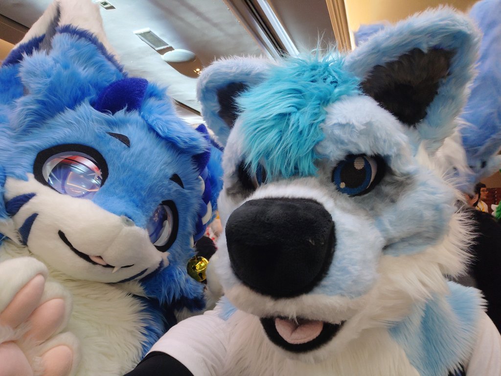 Owwy Eenu 青い犬 tweet media