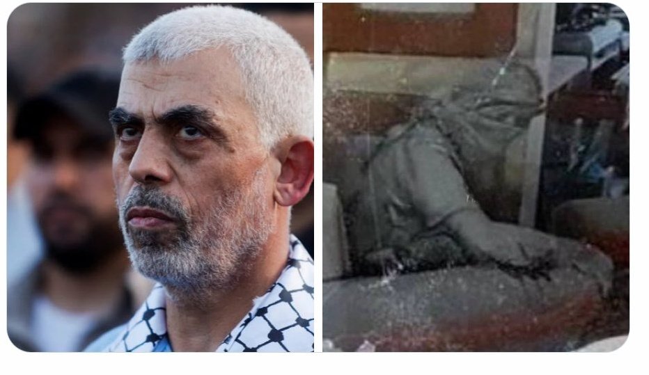 _Aaroon_009's tweet photo. @Abbaskhan12145 @iAdnano He died for nothing but Iran ⚰💀 https://t.co/FeMtFQV7HE