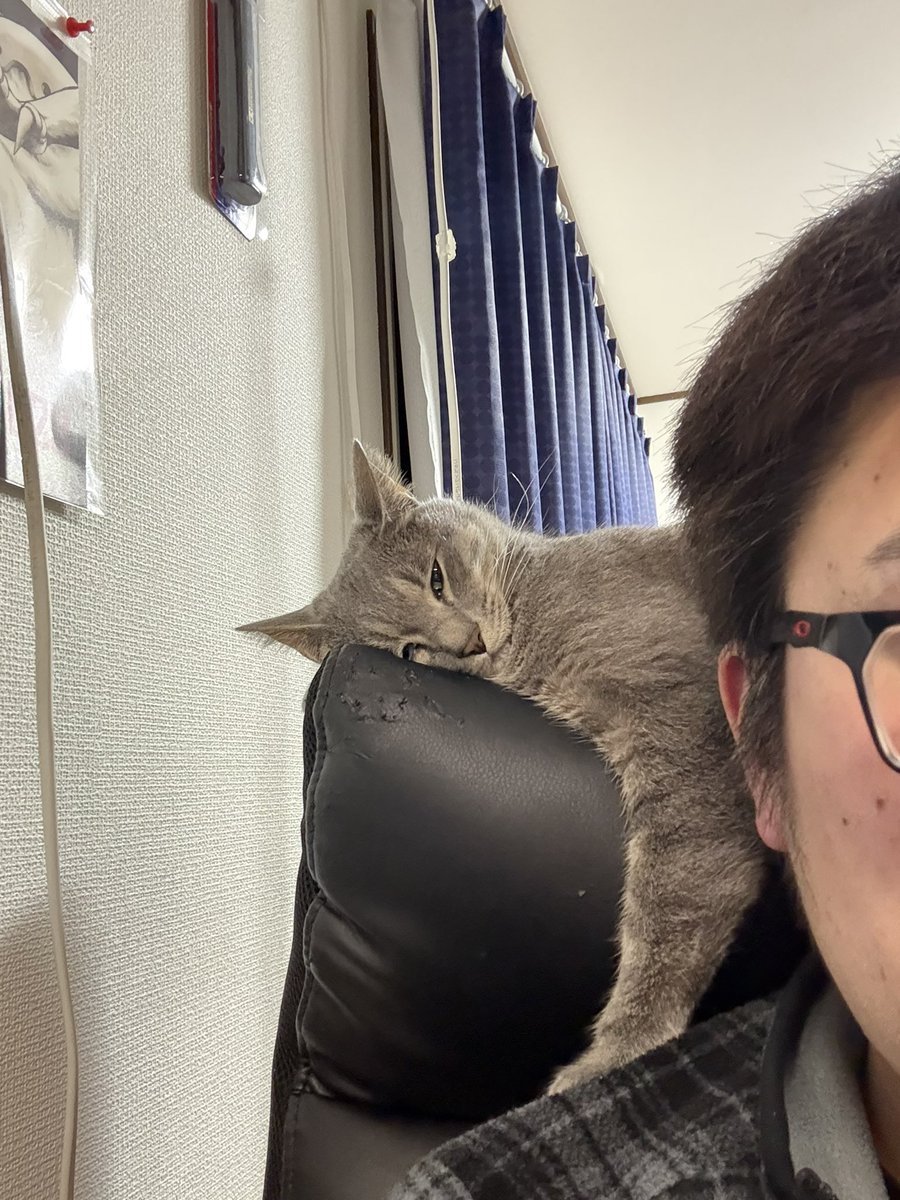 よう@S2K tweet media