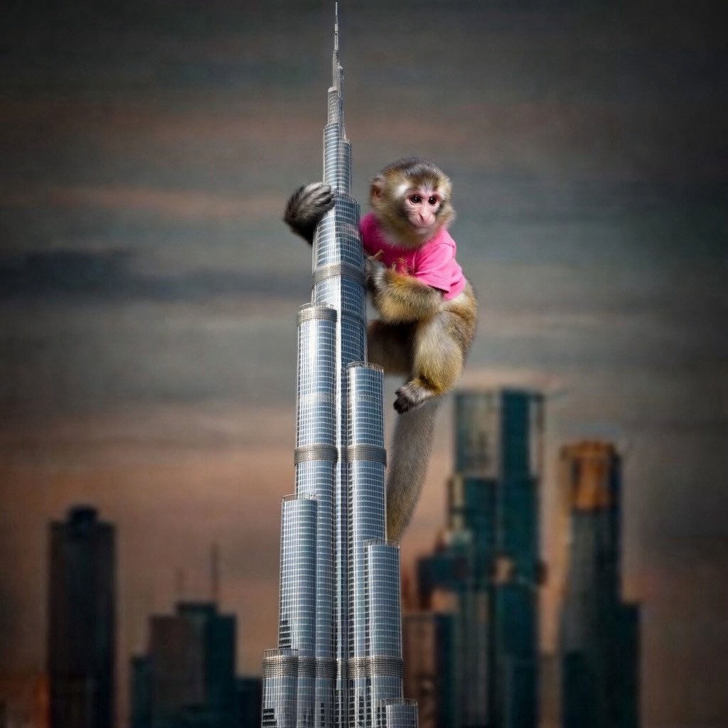 Savvy 🏴‍☠️🖤🏴‍☠️ tweet media