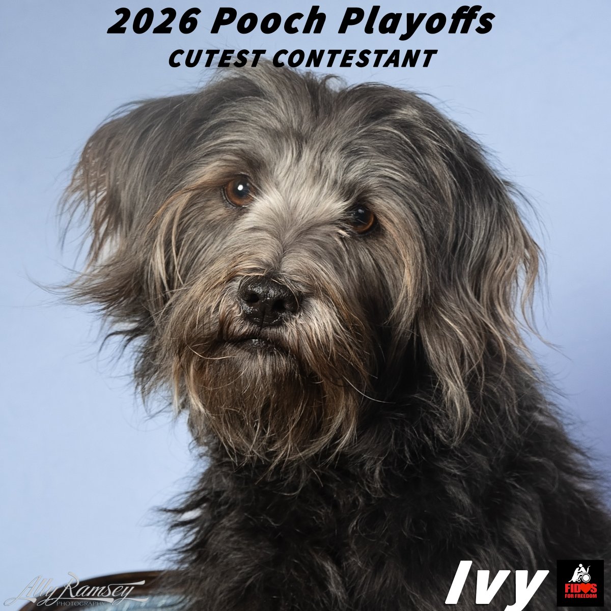 Fidos For Freedom tweet media