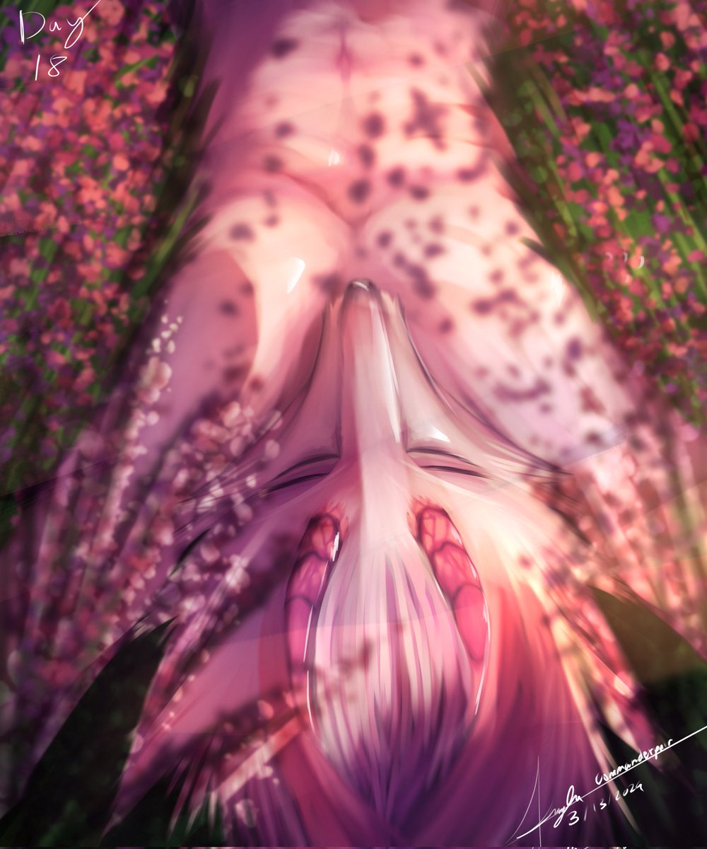 Commander pur tweet media