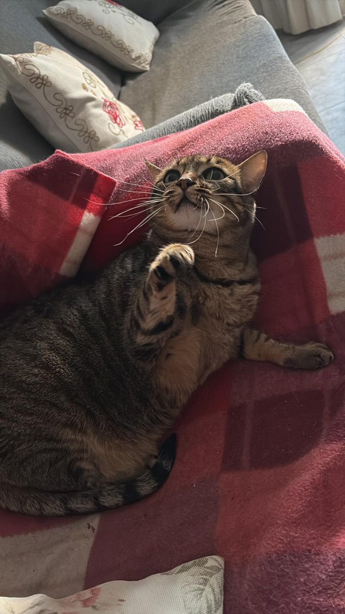 𝗠𝗥𝟭 tweet media