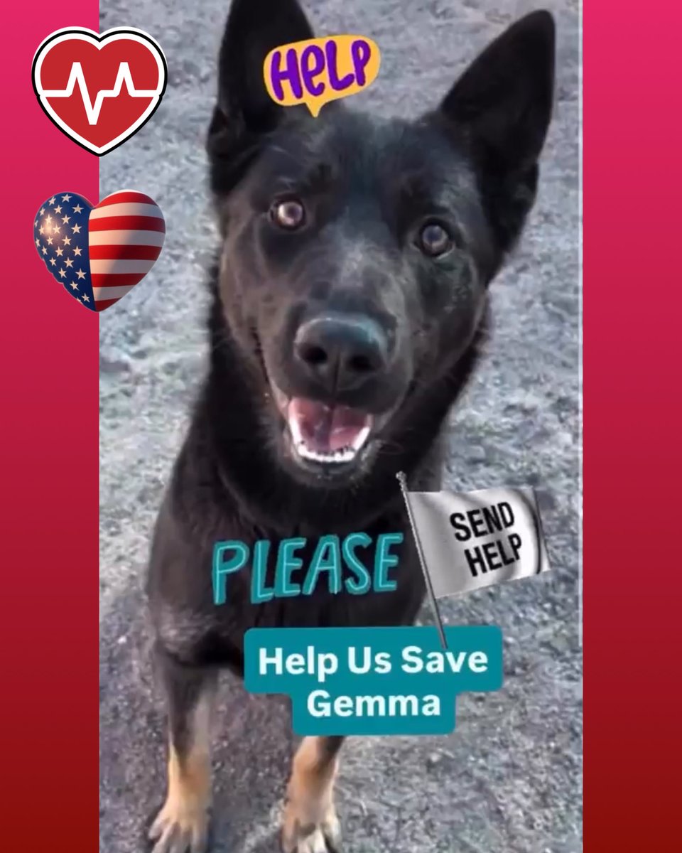 Malimum 🇩🇪 tweet media