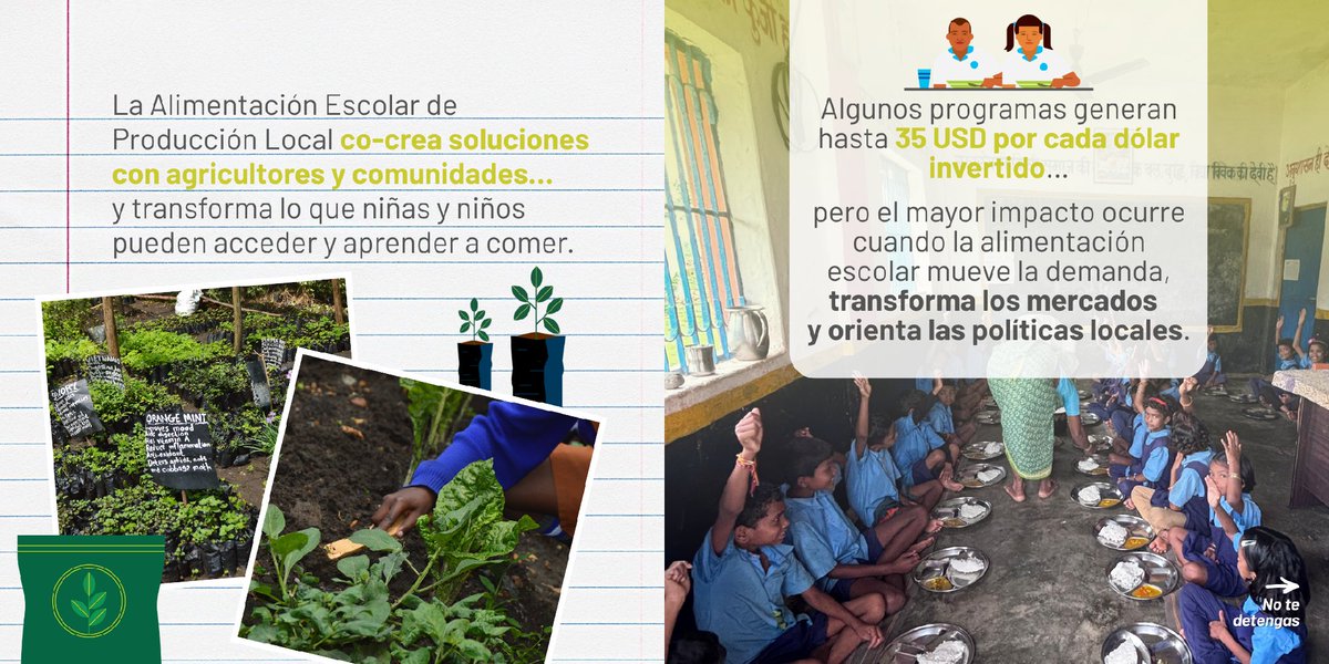 Alianza de Bioversity International y el CIAT tweet media