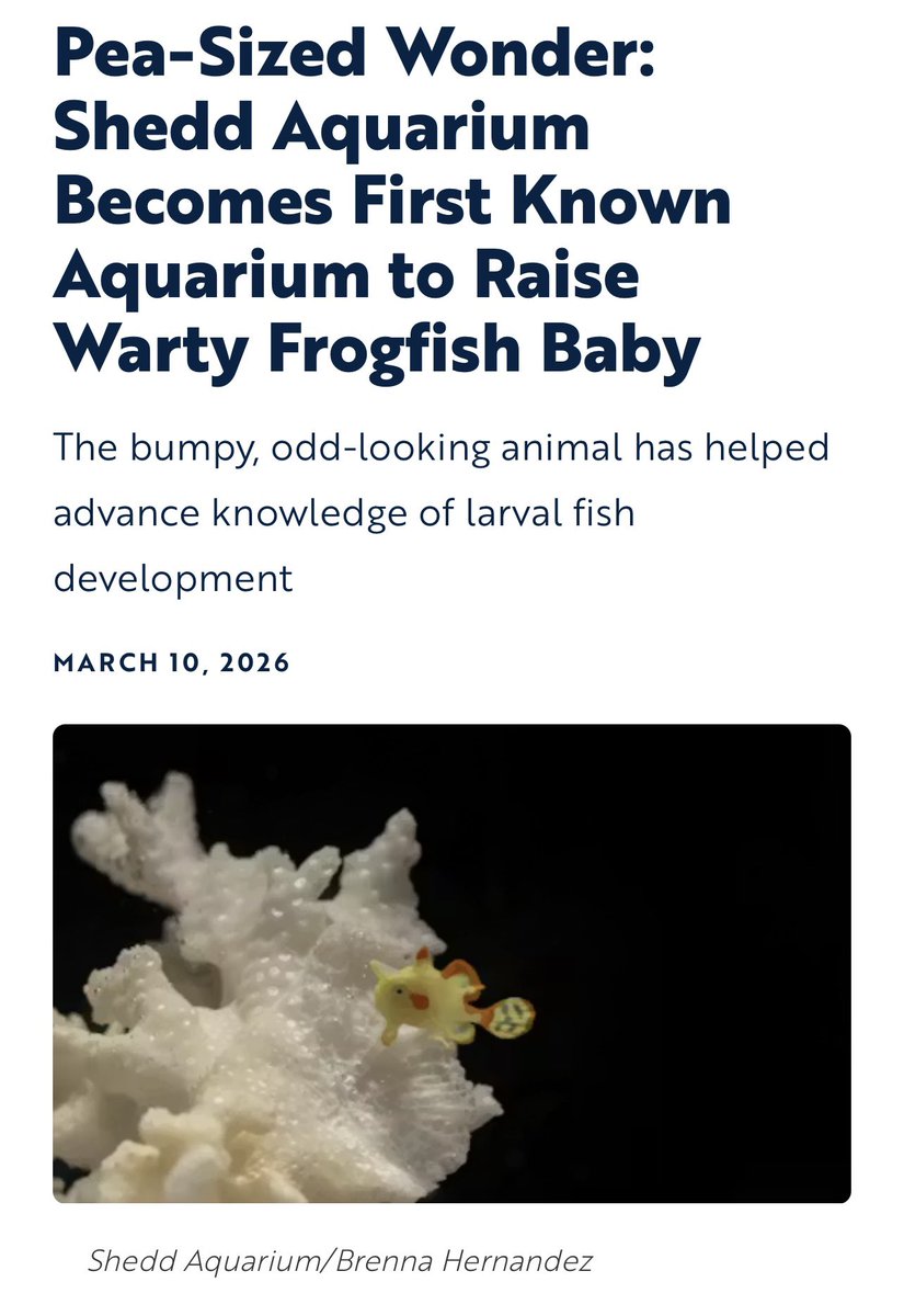 Kelsey Poppen tweet media