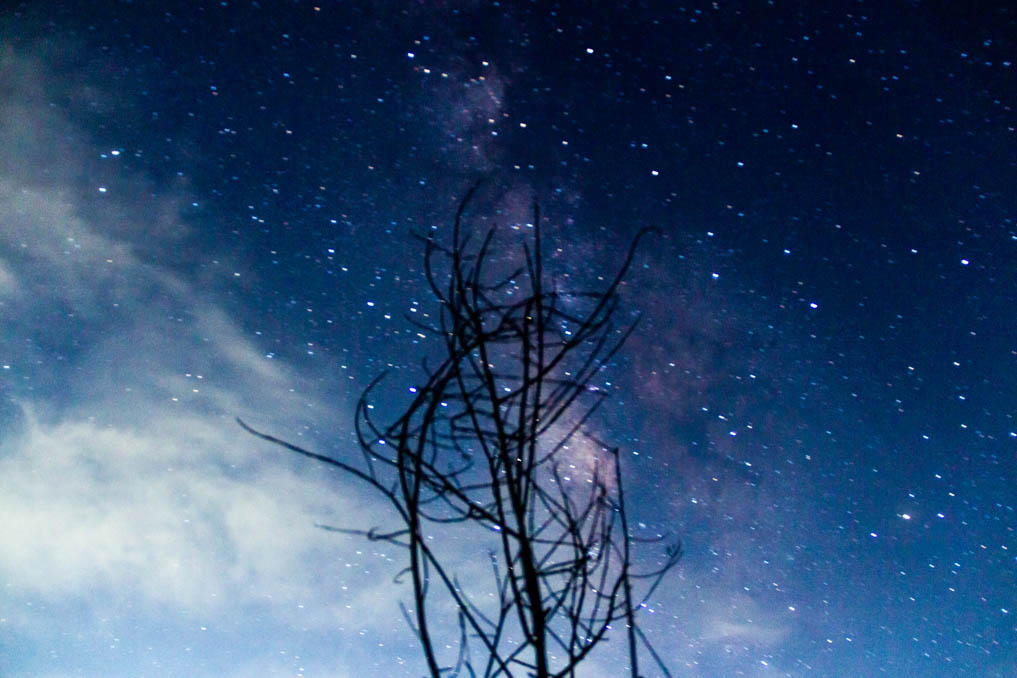 Iram Ortega 👁 tweet media