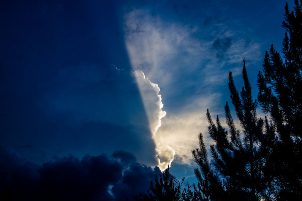 Iram Ortega 👁 tweet media