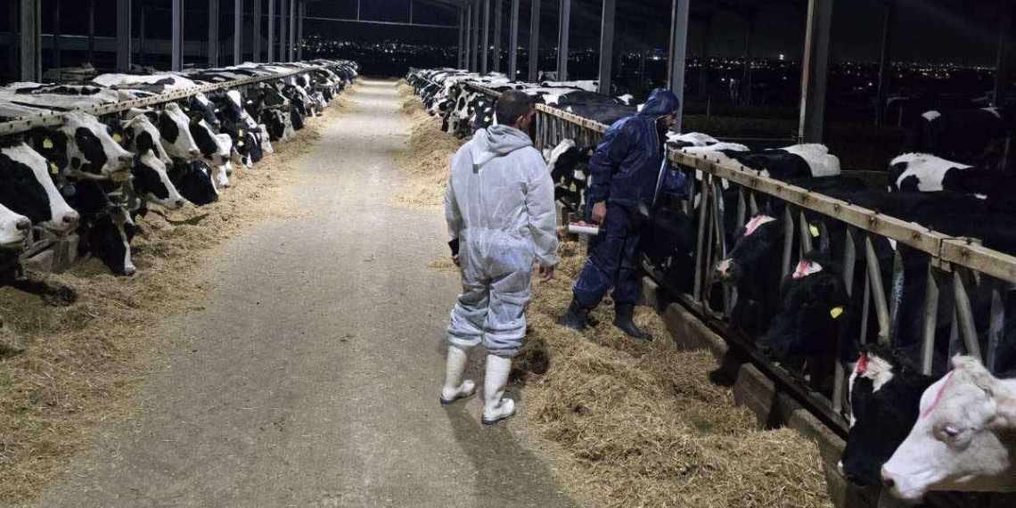 Δημοκρατική Παράταξη (DEPA) tweet media