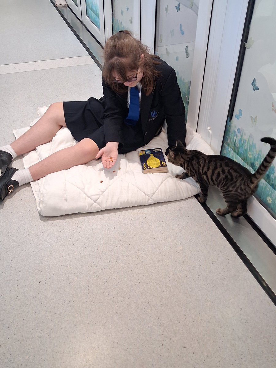 gspca tweet media