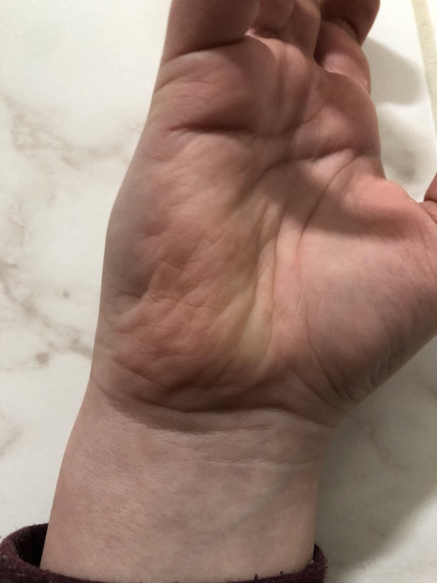 Yasser Abdesselam 🇩🇿 🇺🇳 tweet media