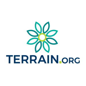 newpages's tweet image. The world’s first place-based online journal, Terrain.org offers content  of "the highest quality, by a variety of contributors for a diverse, informed, and progressive audience." 

#litmags #literarycommunity #readingcommunity
@Terrainorg newpages.com/blog/magazines…