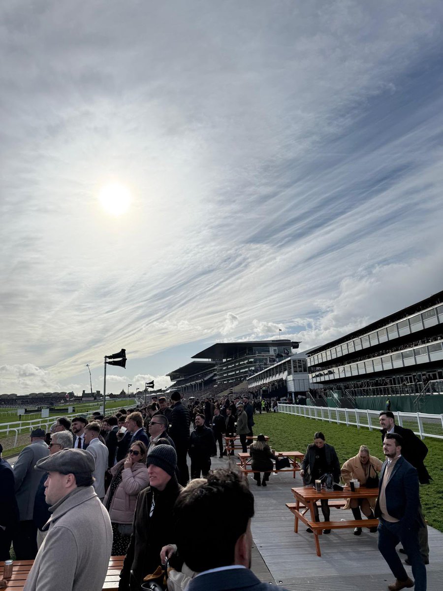 Cheltenham Festival Fans tweet media