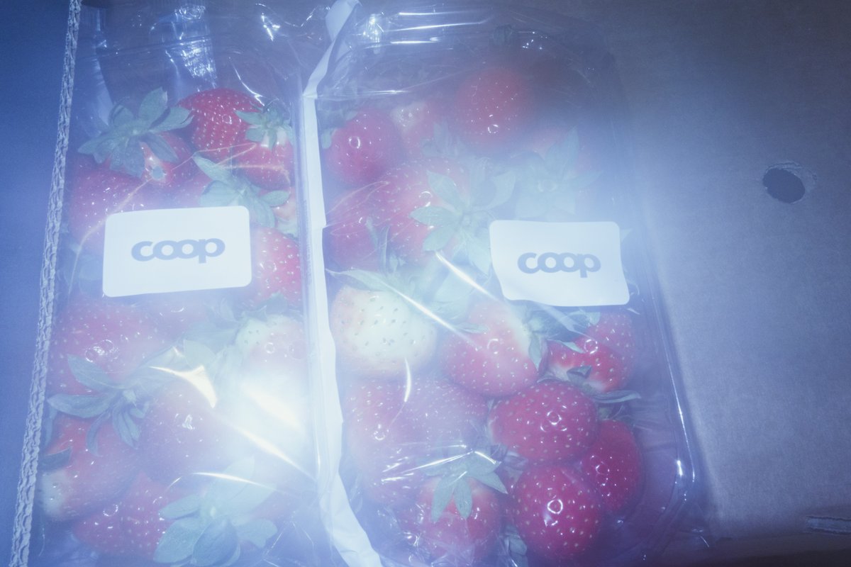 まくらあさみ tweet media