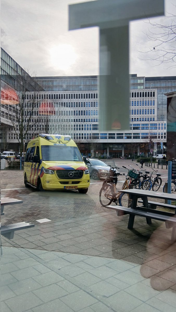 Buitenrit vanuit Limburg naar de grote stad #Rotterdam 
#dmvda