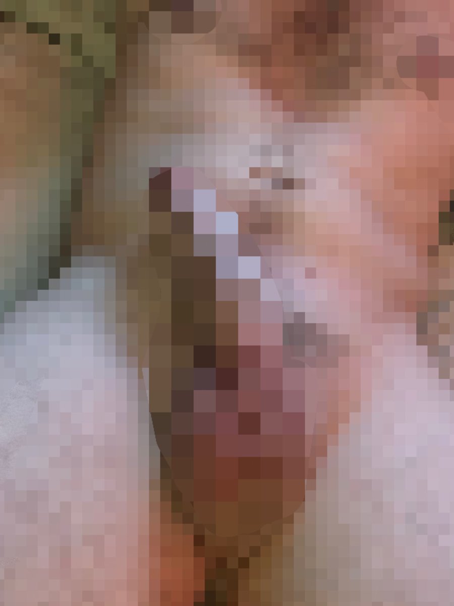 🤑🚫 Master Pixel 🚫🤑 tweet media