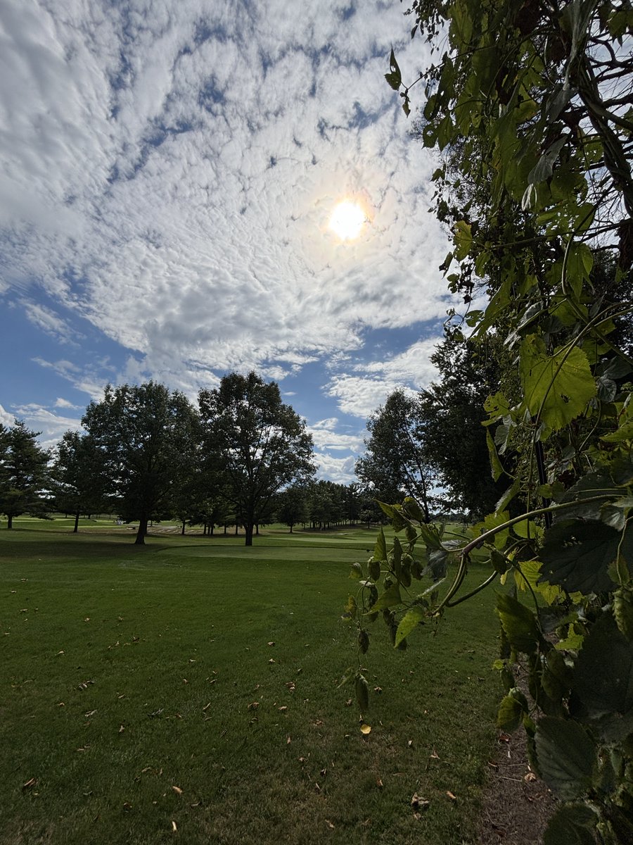 Rideau View Golf tweet media