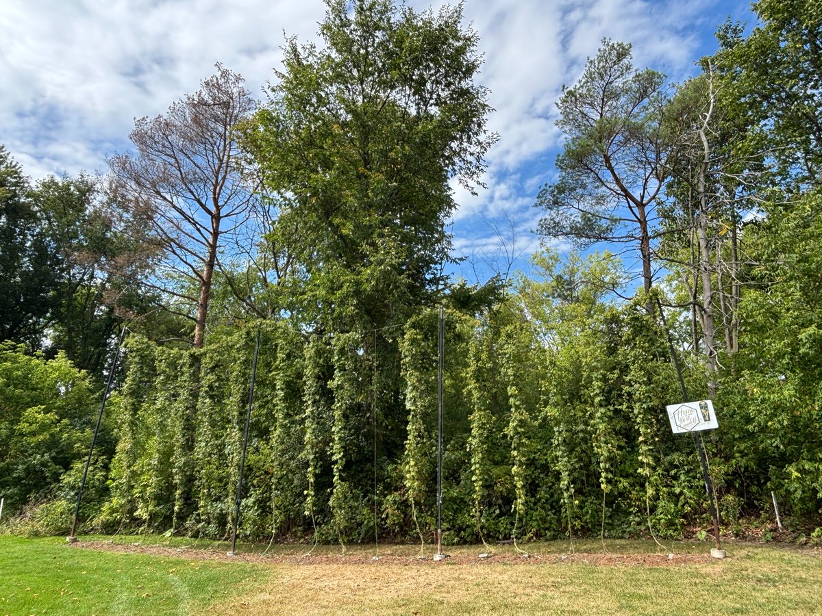 Rideau View Golf tweet media