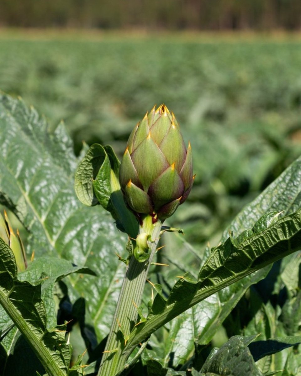 Visit Greece tweet media