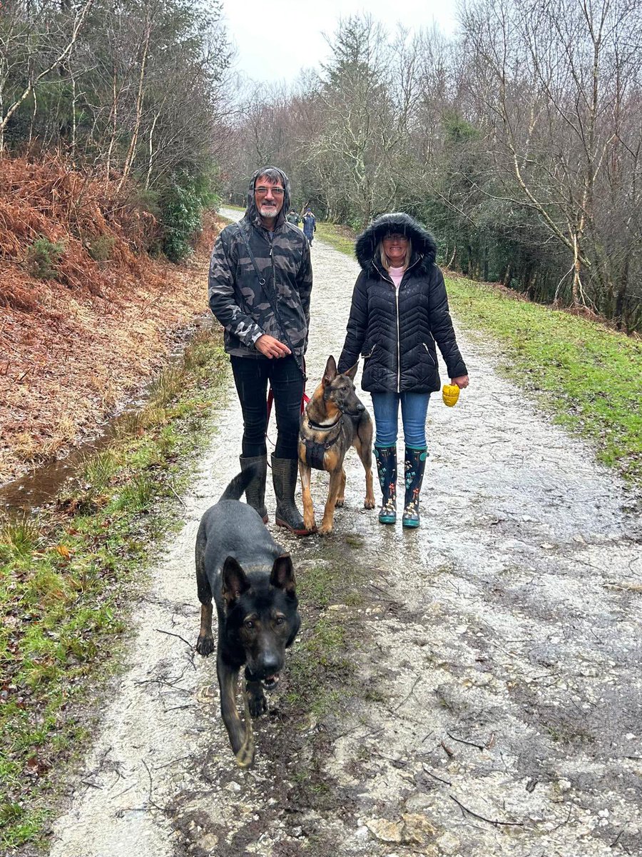 DC_Police Dogs ( Puppy Development Program) tweet media