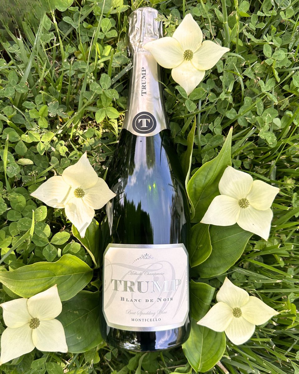 trumpwinery's tweet photo. The news is out… 🍾 Our 2018 Blanc de Noir has been selected for the 2026 Virginia Governor’s Cup Case - an honor reserved for the Commonwealth’s finest wines.

Celebrate with us - visit the winery or secure a bottle and taste the award-winning sparkle for yourself. ✨ https://t.co/Thz4lZaLAx

#TrumpWinery #VirginiaWine #MonticelloAVA #SparklingWine #VAGovernorsCup #WineLovers #NeverSettle #GovernorsCase