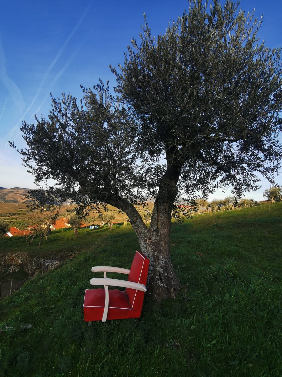 rmacbritos's tweet photo. Soutelo do Douro https://t.co/tUNgltpd8t