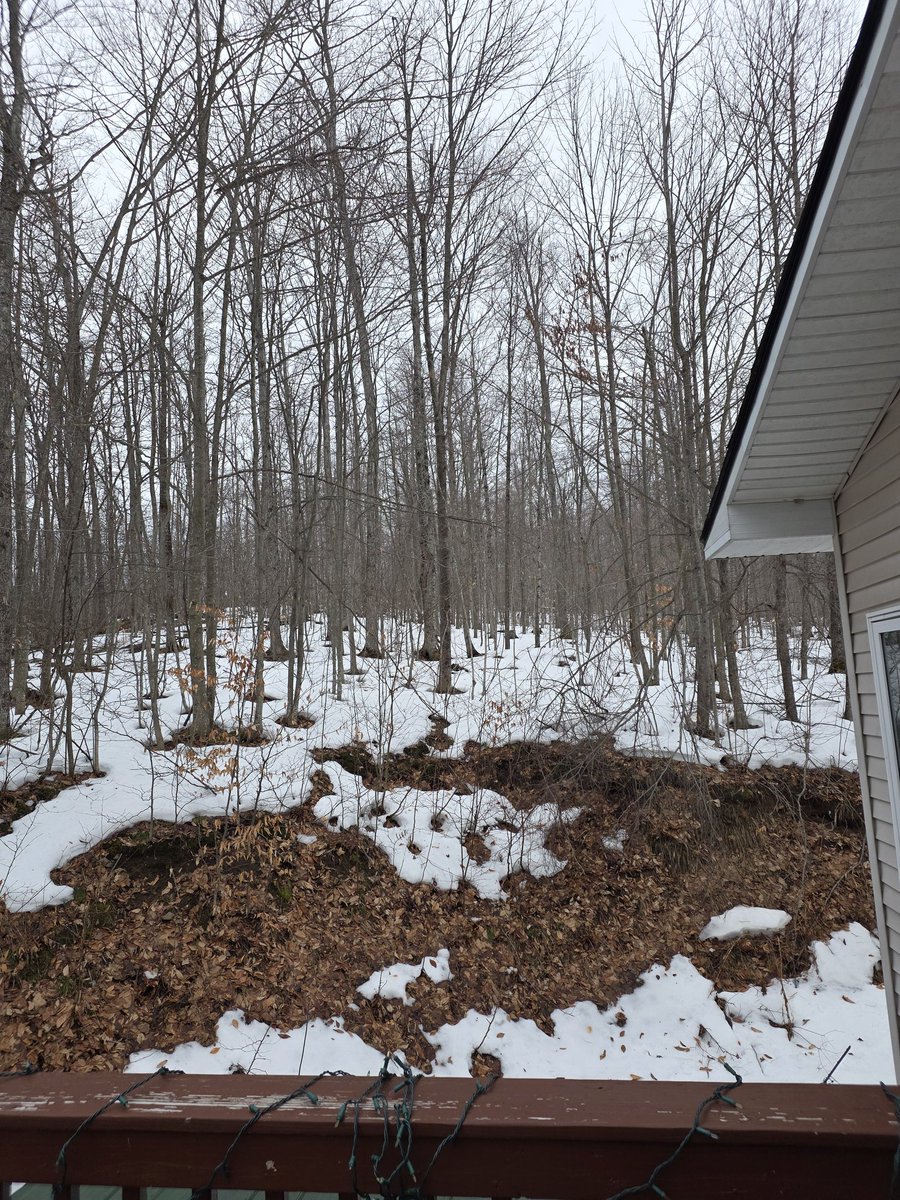 James (Posted) 🛸 tweet media