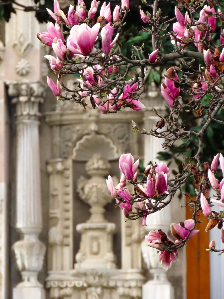 Go Türkiye tweet media