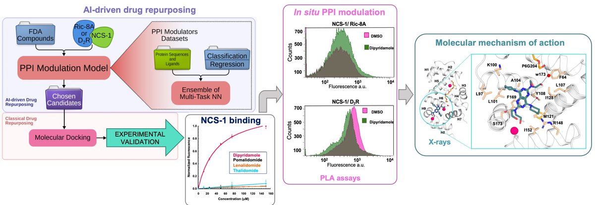 Maria Jose Sanchez-Barrena tweet media
