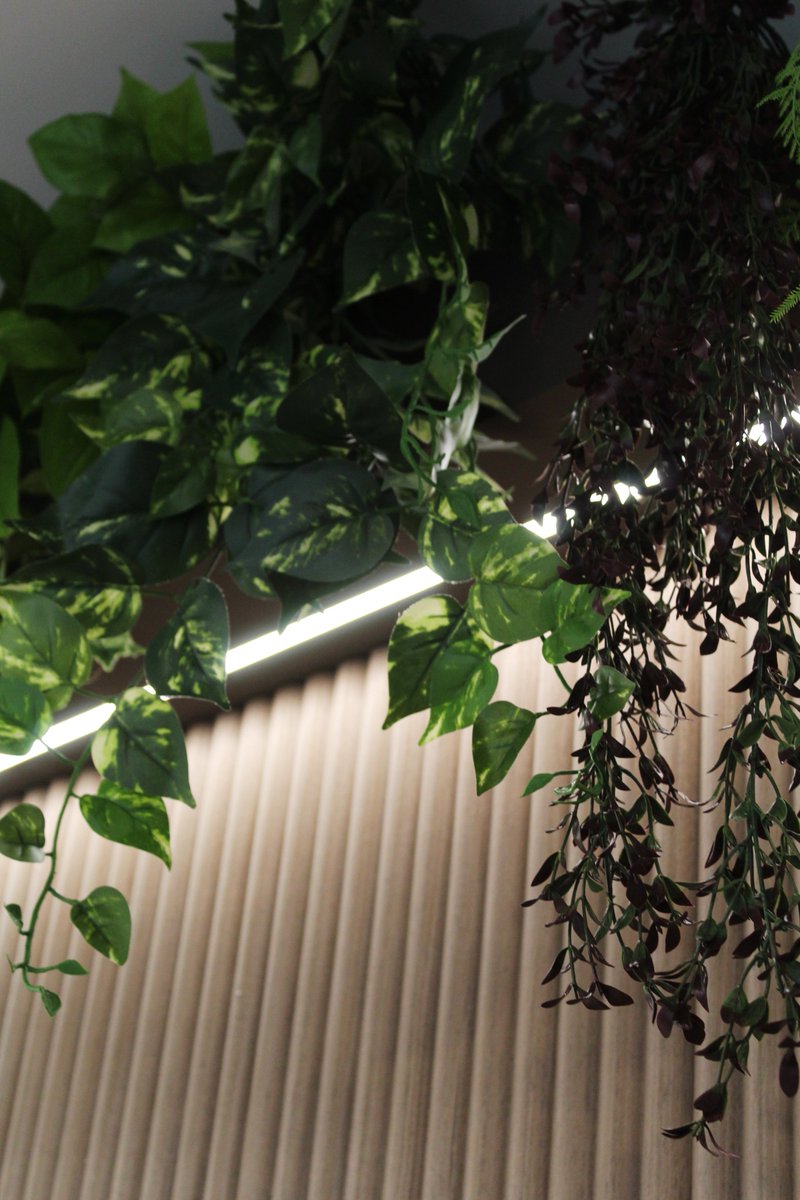 One Dorset Street tweet media