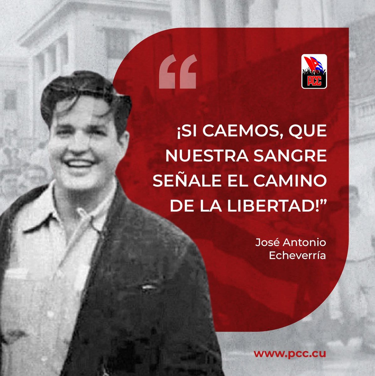 Mayra Arevich Marín 🇨🇺 tweet media