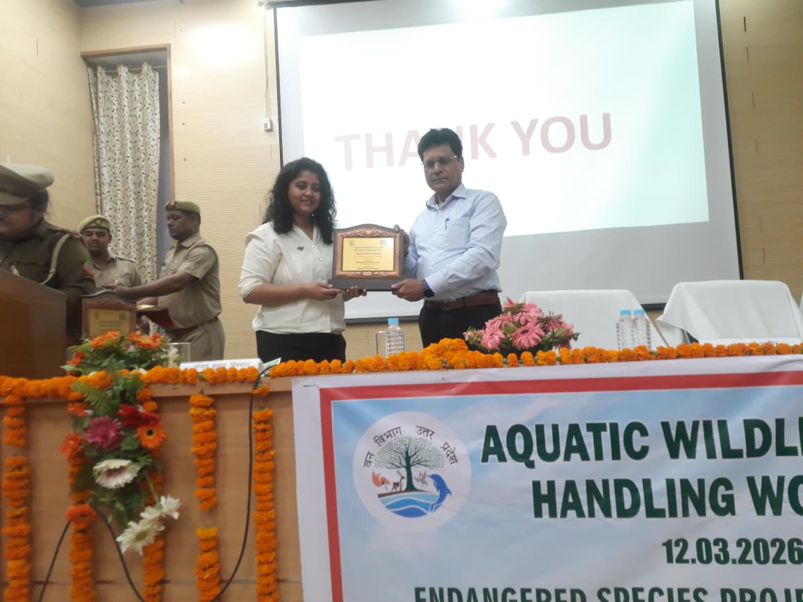 Turtle Survival Alliance INDIA tweet media