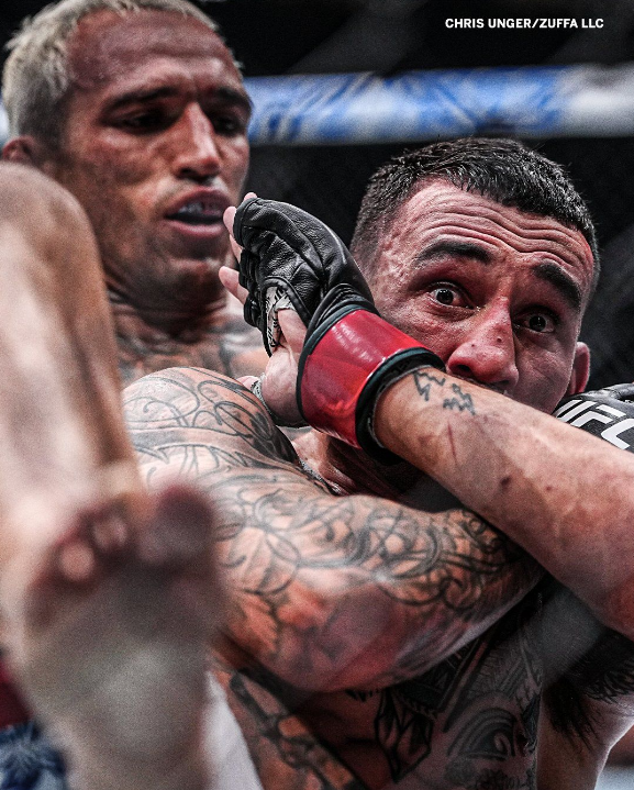 Frouxonaro tweet media