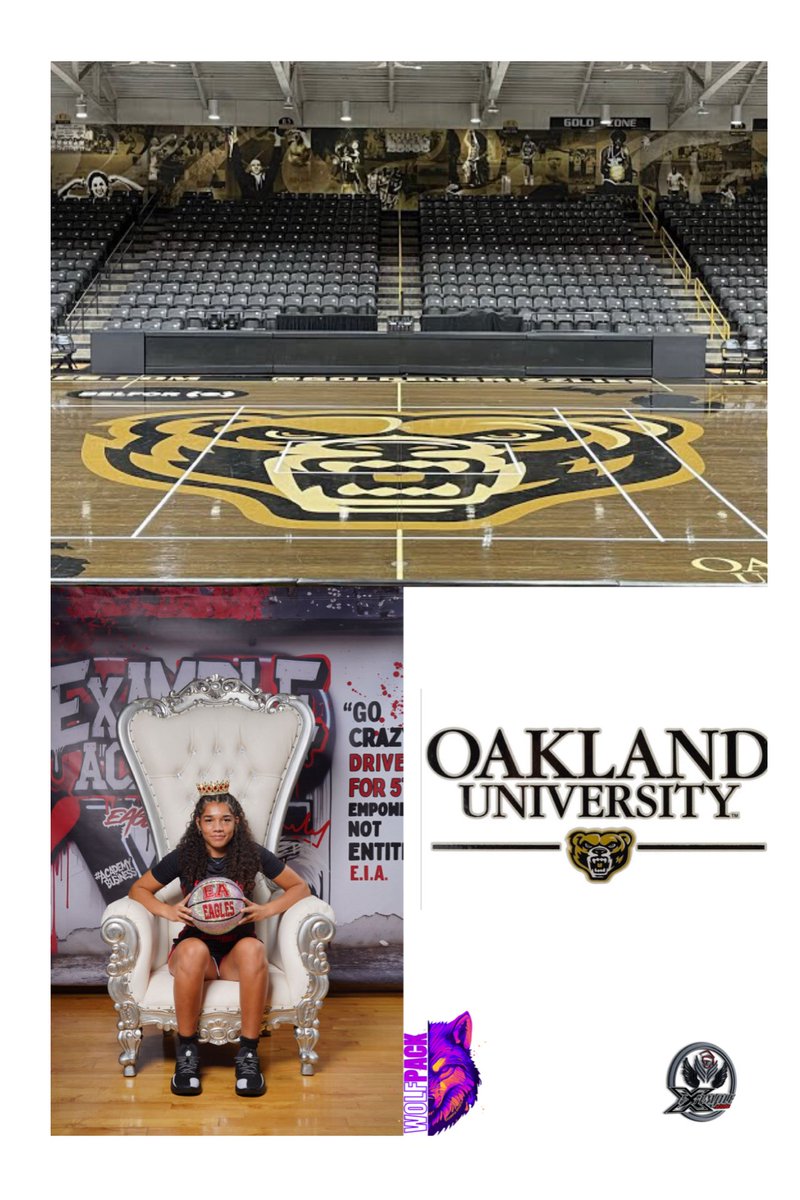 Example Sports AAU tweet media