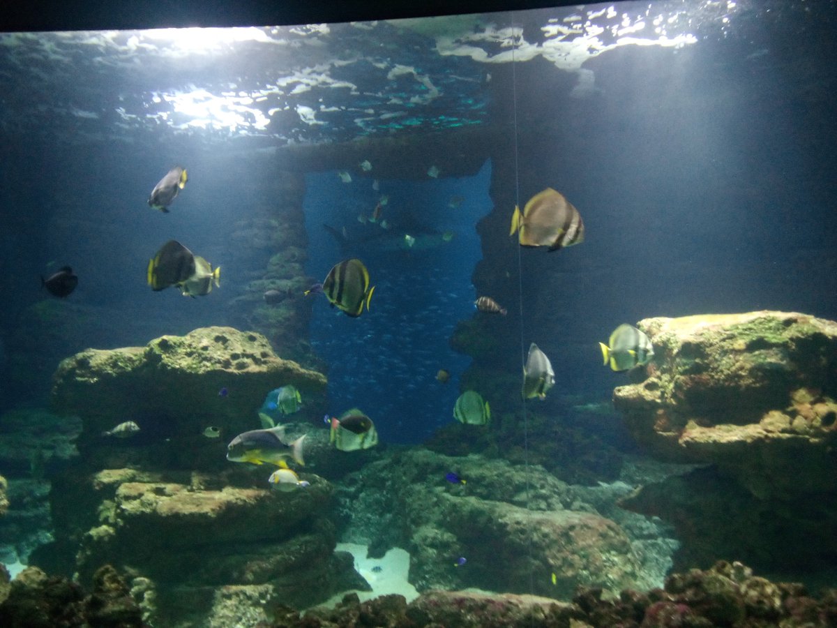 Nova Stein tweet media