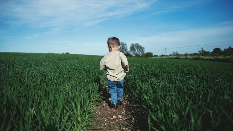 Kansas Head Start tweet media