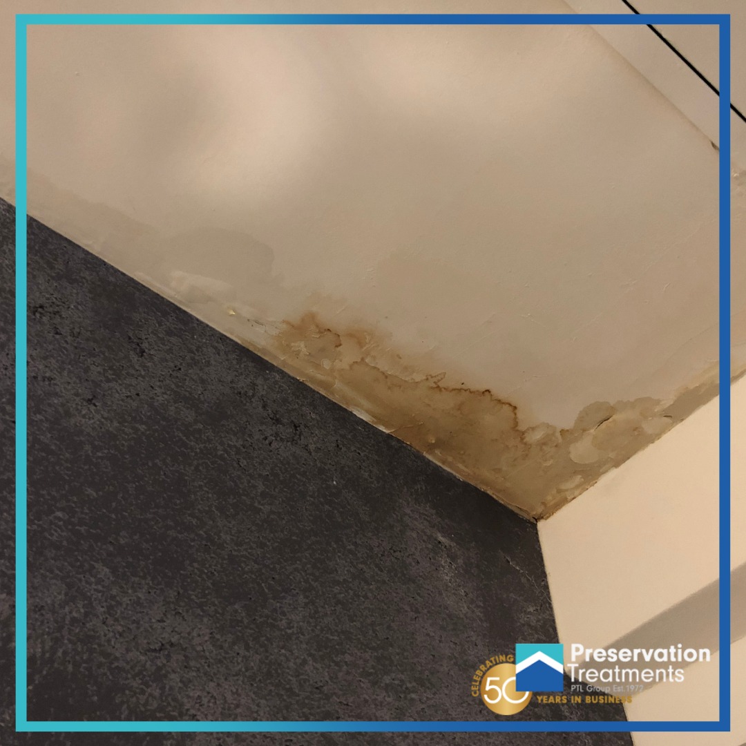 Buildings of all ages can be affected by Dry Rot and Wet Rot. This fungal decay is found in timber which has been wet for some time. As well as having the fungal decay treated it is essential that the source of dampness is located and eradicated.

#PreservationTreatments
