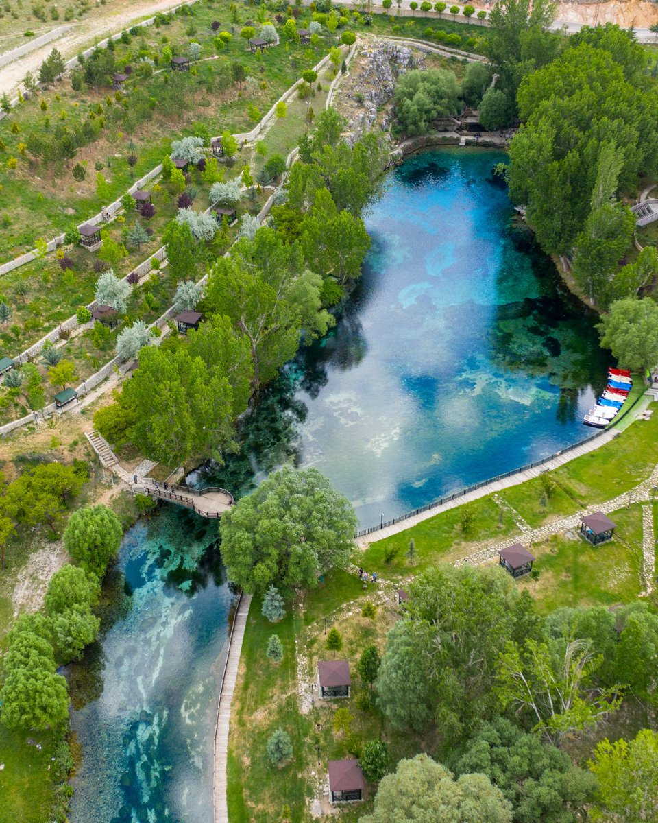 Go Türkiye tweet media