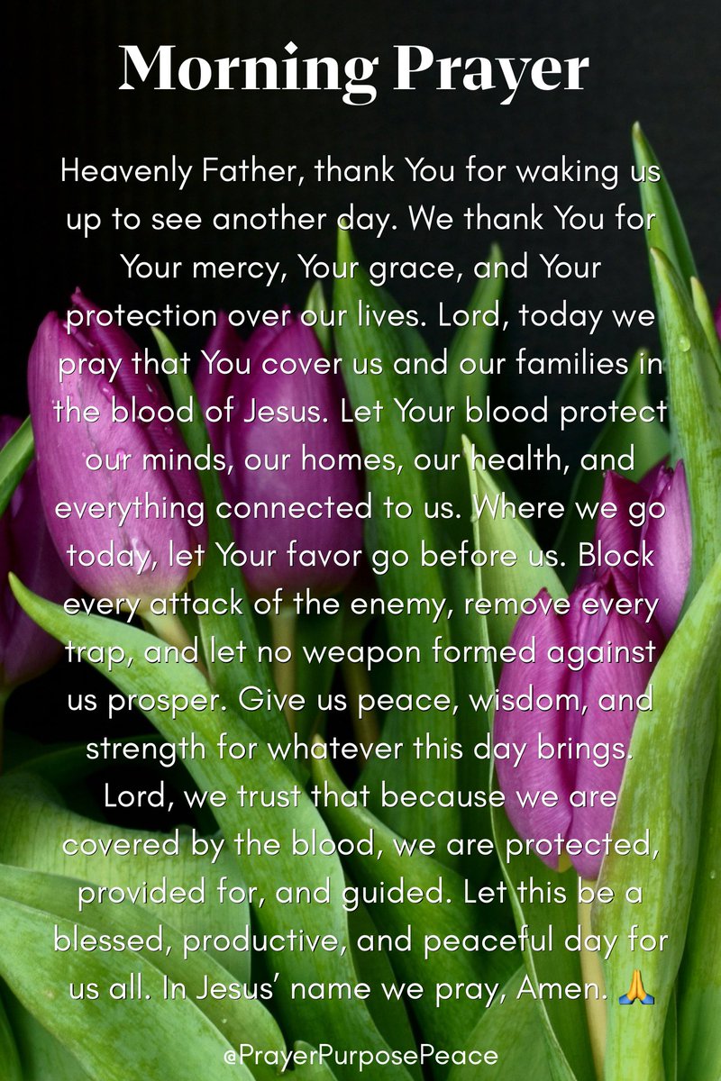PrayerPurposeP's tweet photo. Have a Wonderful Day 🌷

#God #Jesus #HolySpirit #Pray #GoodMorning https://t.co/PraoVhJjWL