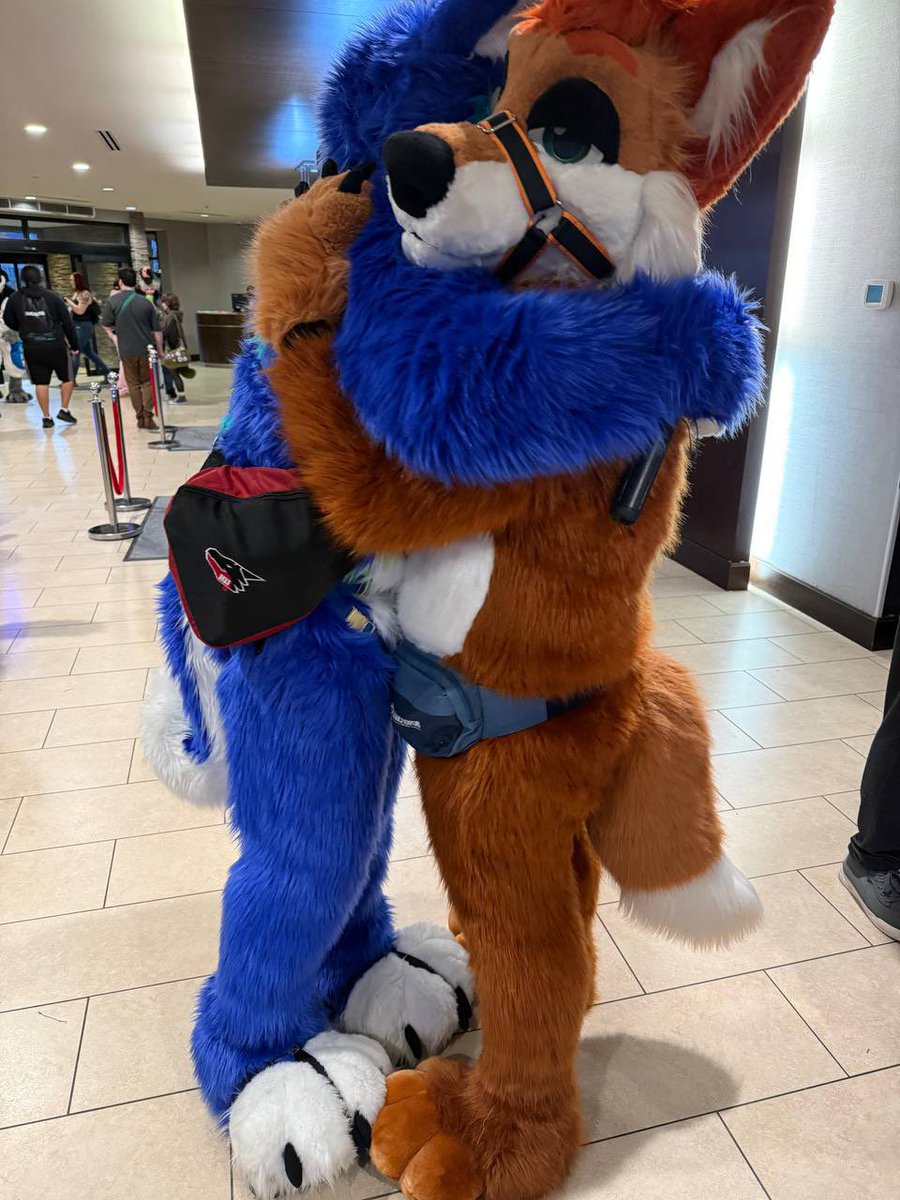 Daff 🔜 AC tweet media